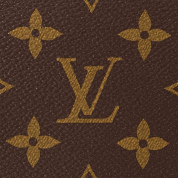 Louis Vuitton M46311 Loop Hobo Monogram