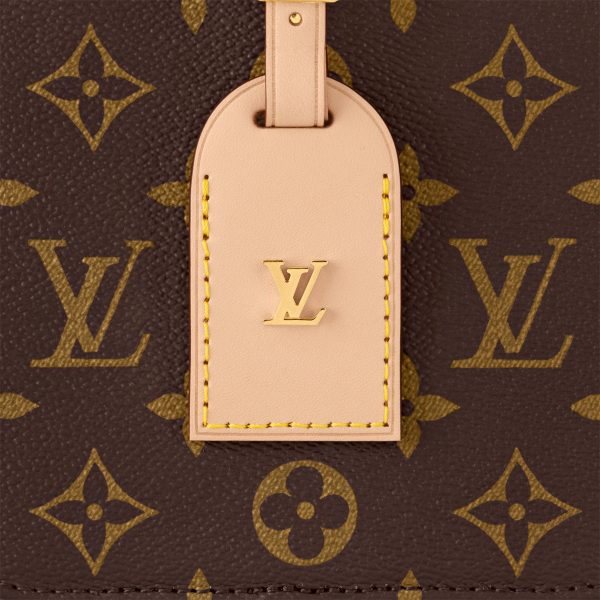 Louis Vuitton M47117 Around Me PM Monogram